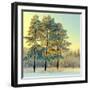 Beautiful Landscape with Winter Forest-DeSerg-Framed Photographic Print