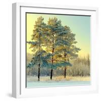 Beautiful Landscape with Winter Forest-DeSerg-Framed Photographic Print