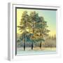 Beautiful Landscape with Winter Forest-DeSerg-Framed Photographic Print