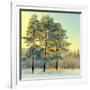 Beautiful Landscape with Winter Forest-DeSerg-Framed Photographic Print