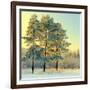 Beautiful Landscape with Winter Forest-DeSerg-Framed Photographic Print