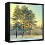 Beautiful Landscape with Winter Forest-DeSerg-Framed Stretched Canvas