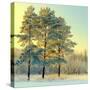 Beautiful Landscape with Winter Forest-DeSerg-Stretched Canvas