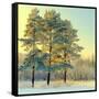 Beautiful Landscape with Winter Forest-DeSerg-Framed Stretched Canvas