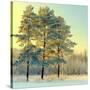 Beautiful Landscape with Winter Forest-DeSerg-Stretched Canvas