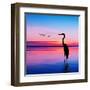 Beautiful Landscape-Eva Bidiuk-Framed Art Print