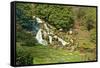 Beautiful Landscaped Ornamental Gardens in Spring with Lake and Waterfall-Veneratio-Framed Stretched Canvas