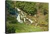 Beautiful Landscaped Ornamental Gardens in Spring with Lake and Waterfall-Veneratio-Stretched Canvas