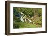 Beautiful Landscaped Ornamental Gardens in Spring with Lake and Waterfall-Veneratio-Framed Photographic Print