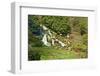 Beautiful Landscaped Ornamental Gardens in Spring with Lake and Waterfall-Veneratio-Framed Photographic Print