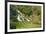 Beautiful Landscaped Ornamental Gardens in Spring with Lake and Waterfall-Veneratio-Framed Photographic Print