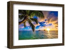 Beautiful Lanikai, Kailua Sunrise in Hawaii-Shane Myers Photography-Framed Photographic Print