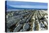 Beautiful Limestone Formations on the Kaikoura Peninsula, South Island, New Zealand, Pacific-Michael Runkel-Stretched Canvas