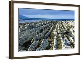 Beautiful Limestone Formations on the Kaikoura Peninsula, South Island, New Zealand, Pacific-Michael Runkel-Framed Photographic Print