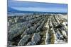 Beautiful Limestone Formations on the Kaikoura Peninsula, South Island, New Zealand, Pacific-Michael Runkel-Mounted Photographic Print