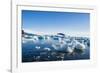 Beautiful little icebergs, Hope Bay, Antarctica, Polar Regions-Michael Runkel-Framed Photographic Print