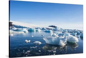 Beautiful little icebergs, Hope Bay, Antarctica, Polar Regions-Michael Runkel-Stretched Canvas