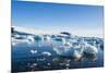 Beautiful little icebergs, Hope Bay, Antarctica, Polar Regions-Michael Runkel-Mounted Photographic Print