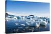 Beautiful little icebergs, Hope Bay, Antarctica, Polar Regions-Michael Runkel-Stretched Canvas