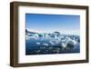 Beautiful little icebergs, Hope Bay, Antarctica, Polar Regions-Michael Runkel-Framed Photographic Print