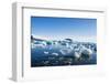 Beautiful little icebergs, Hope Bay, Antarctica, Polar Regions-Michael Runkel-Framed Photographic Print