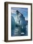 Beautiful little icebergs, Hope Bay, Antarctica, Polar Regions-Michael Runkel-Framed Photographic Print