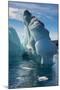 Beautiful little icebergs, Hope Bay, Antarctica, Polar Regions-Michael Runkel-Mounted Photographic Print