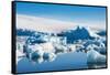 Beautiful little icebergs, Hope Bay, Antarctica, Polar Regions-Michael Runkel-Framed Stretched Canvas