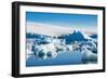 Beautiful little icebergs, Hope Bay, Antarctica, Polar Regions-Michael Runkel-Framed Photographic Print