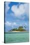 Beautiful little islet in the lagoon of Wallis, Wallis and Futuna, Pacific-Michael Runkel-Stretched Canvas