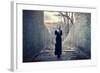 Beautiful Lonely Girl in Long Dress-Gladkov-Framed Photographic Print