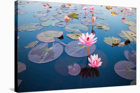 Beautiful Lotus Flower Outdoor-kridsada tipchot-Stretched Canvas