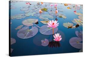 Beautiful Lotus Flower Outdoor-kridsada tipchot-Stretched Canvas