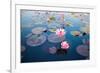 Beautiful Lotus Flower Outdoor-kridsada tipchot-Framed Photographic Print