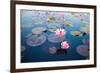 Beautiful Lotus Flower Outdoor-kridsada tipchot-Framed Photographic Print