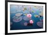 Beautiful Lotus Flower Outdoor-kridsada tipchot-Framed Photographic Print