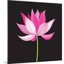 Beautiful Lotus Flower-Tatiana Korchemkina-Mounted Art Print