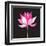 Beautiful Lotus Flower-Tatiana Korchemkina-Framed Art Print