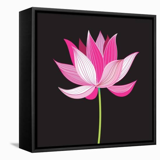 Beautiful Lotus Flower-Tatiana Korchemkina-Framed Stretched Canvas