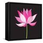 Beautiful Lotus Flower-Tatiana Korchemkina-Framed Stretched Canvas