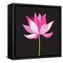 Beautiful Lotus Flower-Tatiana Korchemkina-Framed Stretched Canvas