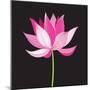 Beautiful Lotus Flower-Tatiana Korchemkina-Mounted Art Print