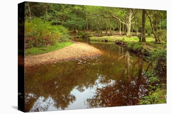 Beautiful Lush Forest Scene with Stream and Touch of Autumn Colors in New Forest, England-Veneratio-Stretched Canvas