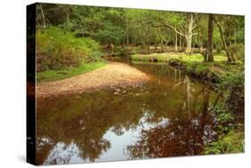 Beautiful Lush Forest Scene with Stream and Touch of Autumn Colors in New Forest, England-Veneratio-Stretched Canvas