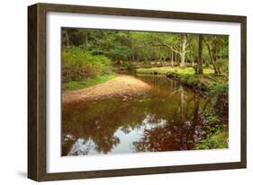 Beautiful Lush Forest Scene with Stream and Touch of Autumn Colors in New Forest, England-Veneratio-Framed Photographic Print