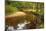 Beautiful Lush Forest Scene with Stream and Touch of Autumn Colors in New Forest, England-Veneratio-Mounted Photographic Print