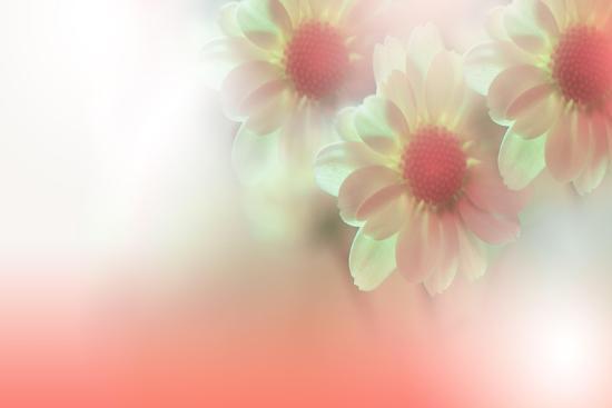 Photo, , large