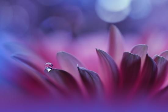 Photo, , large