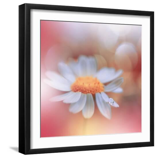 Photo, , large