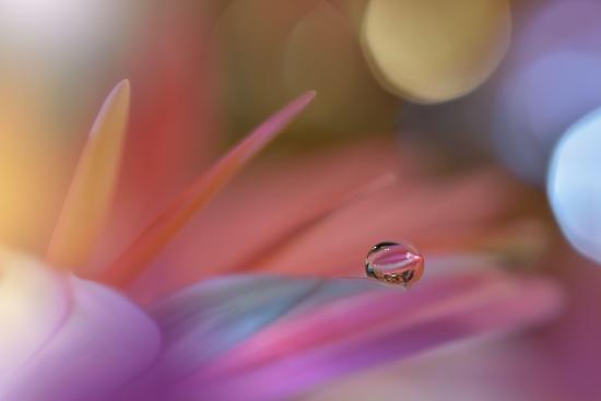 Photo, , large